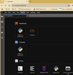 A default startup look for Jupyter Lab